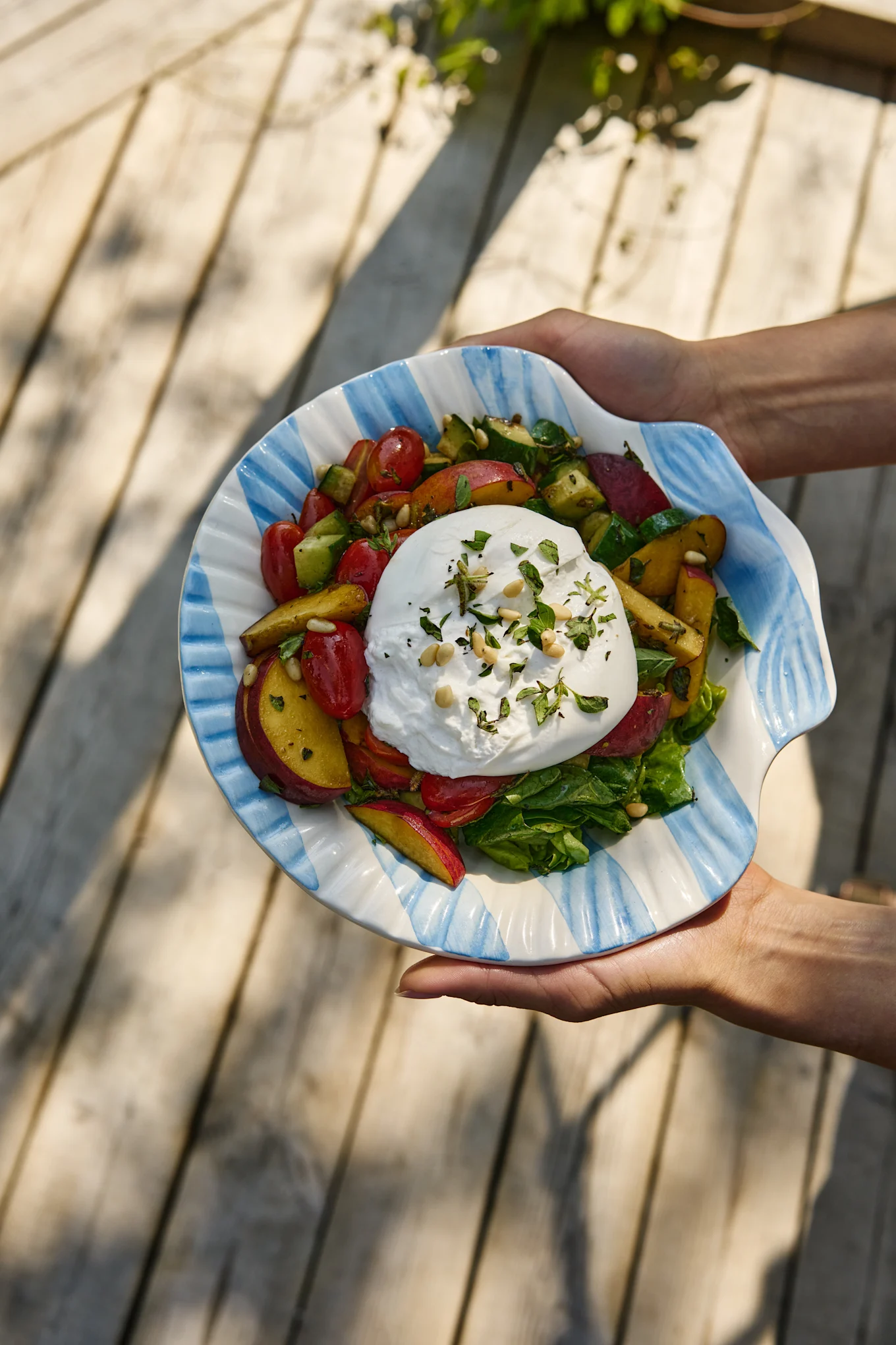 Kädet pitävät burrata-salaattia tomaateilla, persikoilla, kurkulla ja vihreillä raidallisessa simpukkakulhossa.