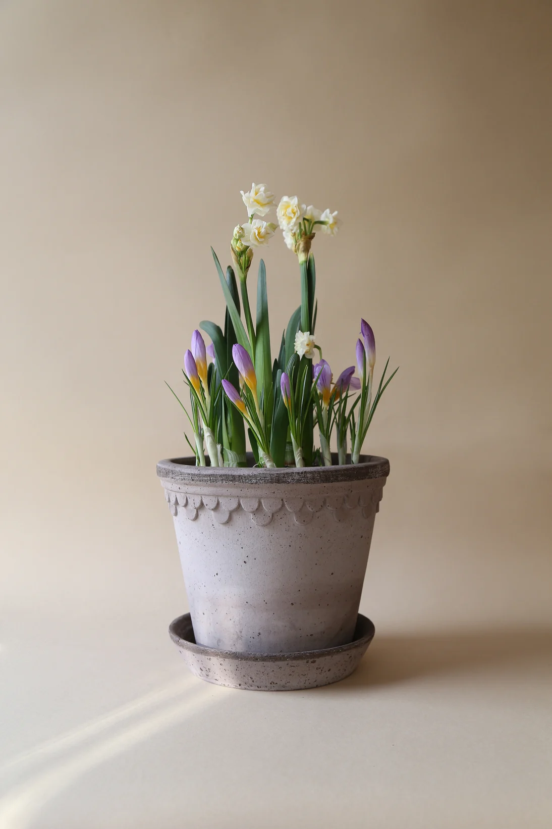 Anna kukkakimpun sijaan äitienpäivälahjaksi kasvi, kuten tämä Bergs Potterin Kööpenhamina-malliston harmaassa ruukussa oleva laaksonlilja.