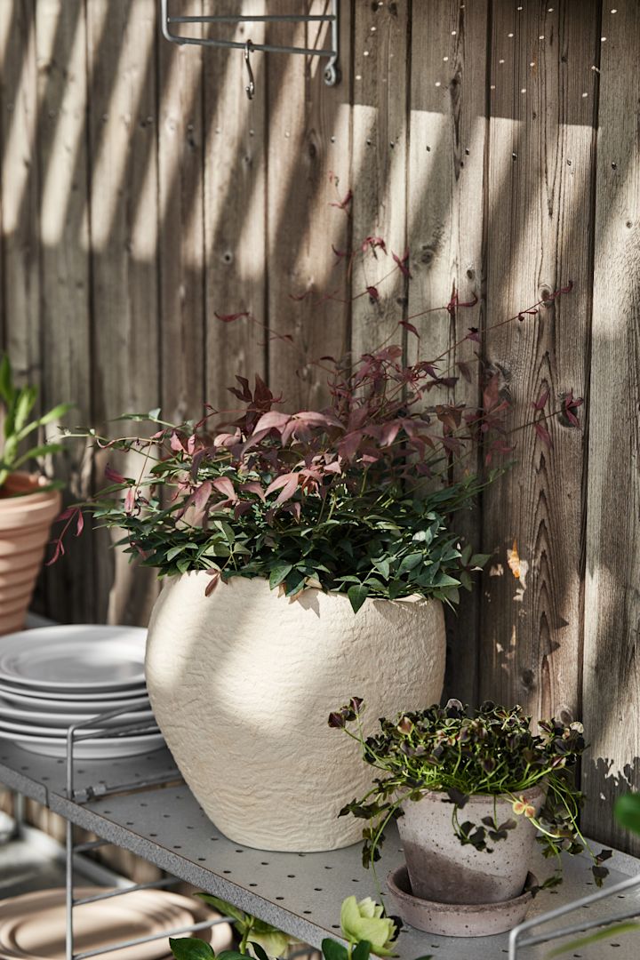 Terassin naruhylly, jolla seisoo Audo Copenhagenin suuri Plantas-kukkaruukku.
