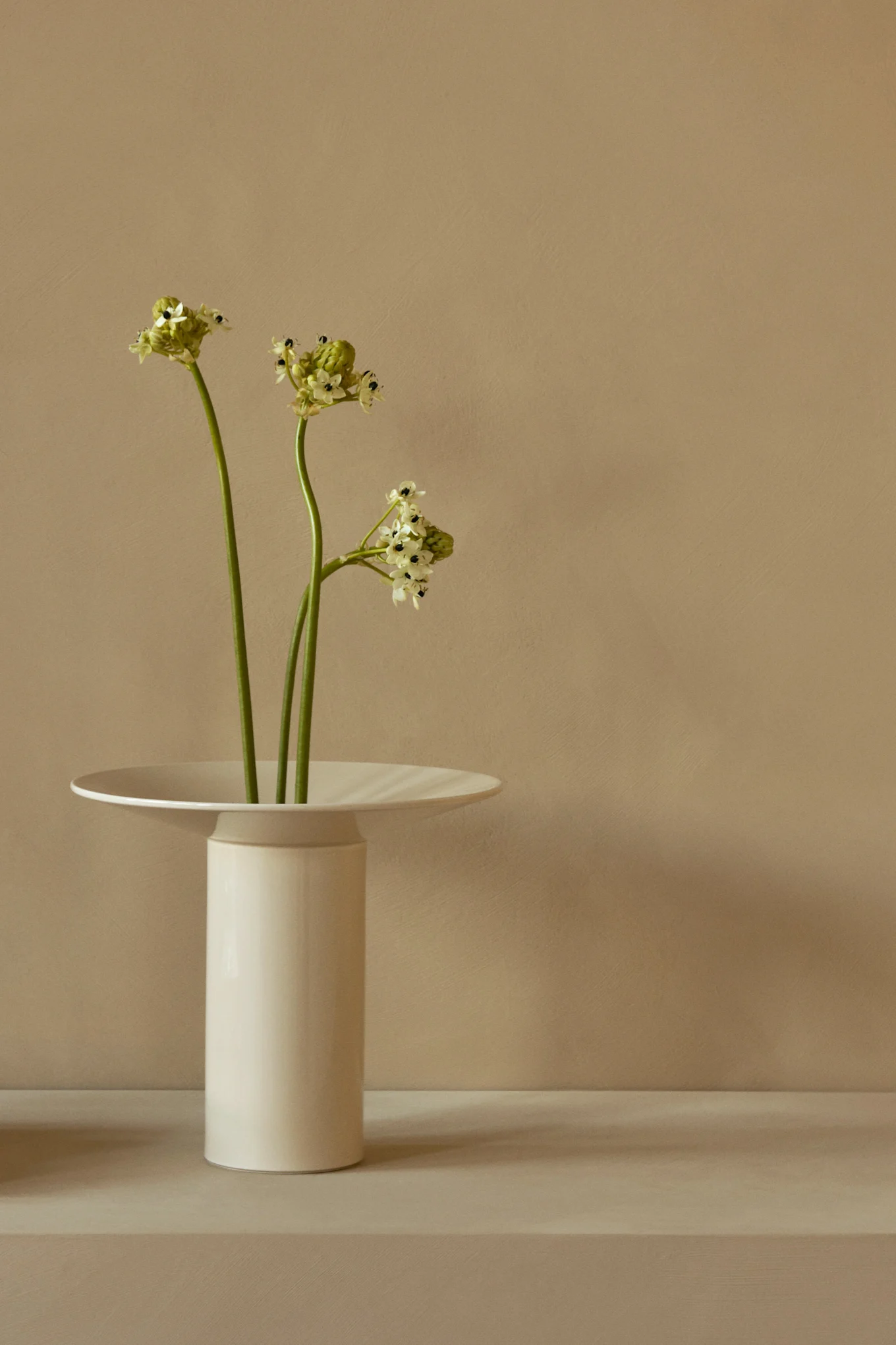 Kolme vihreää vartta, joissa on pieniä vaaleanvihreitä ja valkoisia kukkia, korkeassa valkoisessa maljakossa, jossa on leveä, tasainen reuna.