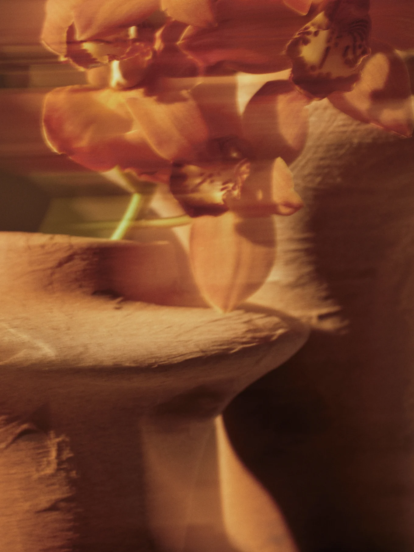 Sumea kuva oranssinpunaisista orkideoista pehmeällä tarkennuksella teksturoitua taustaa vasten.