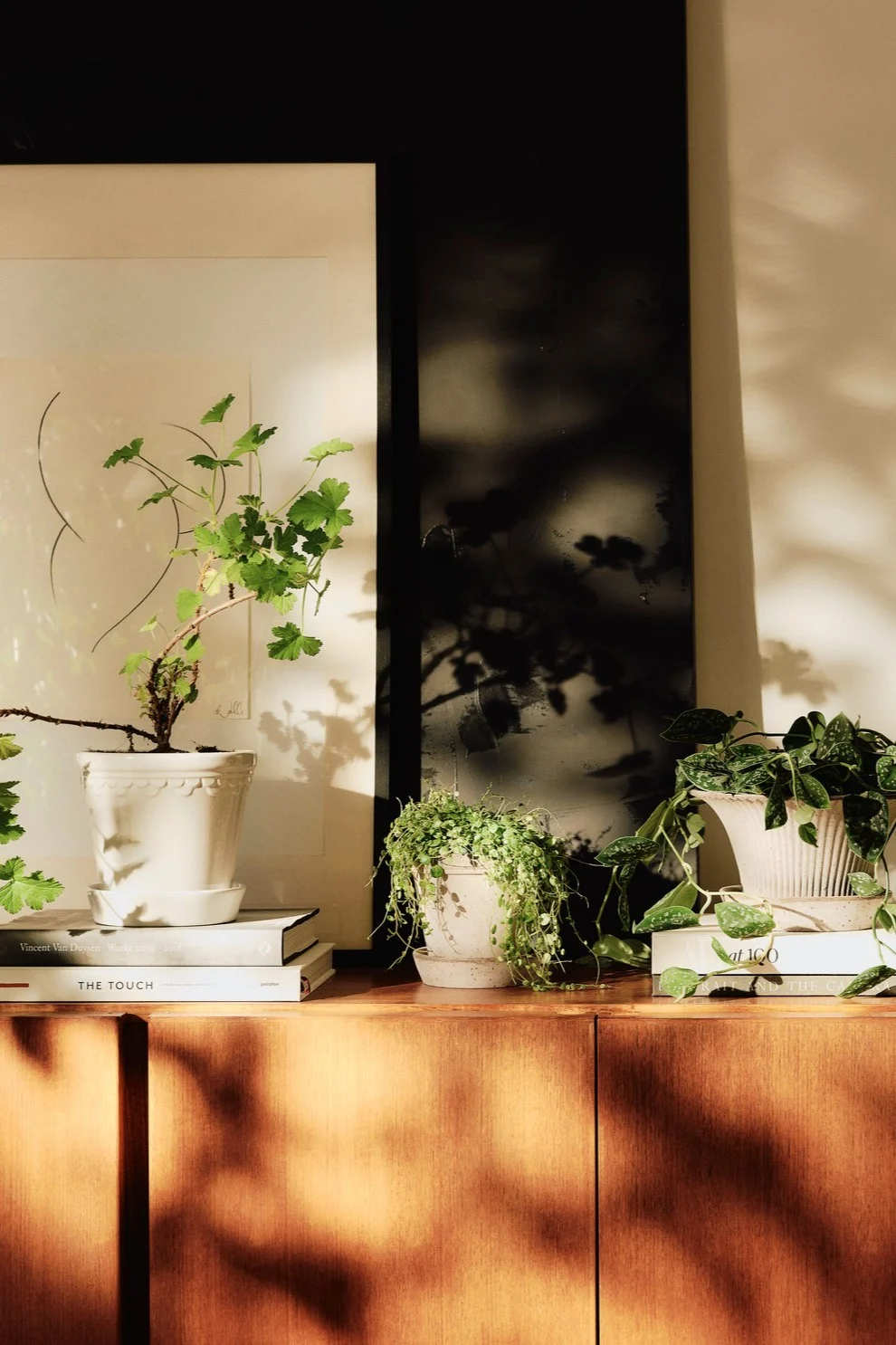 Kasvit viimeistelevät boho-tyylisen sisustuksesi. Tässä näet erilaisia Bergs Potterin kukkaruukkuja lipastolla.