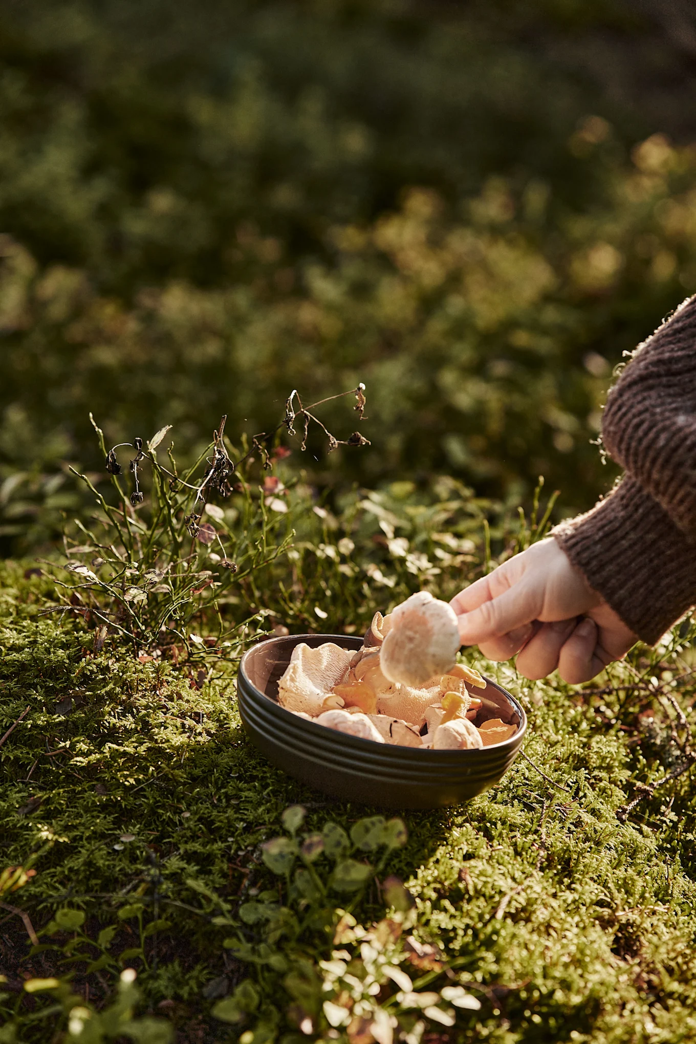 Syksyn to do -listallamme annamme sinulle paljon vinkkejä siitä, mitä voit tehdä Skandinaviassa tänä syksynä - kannattaa esimerkiksi lähteä sienestämään erityisesti syys- ja lokakuussa, se on sen arvoista!