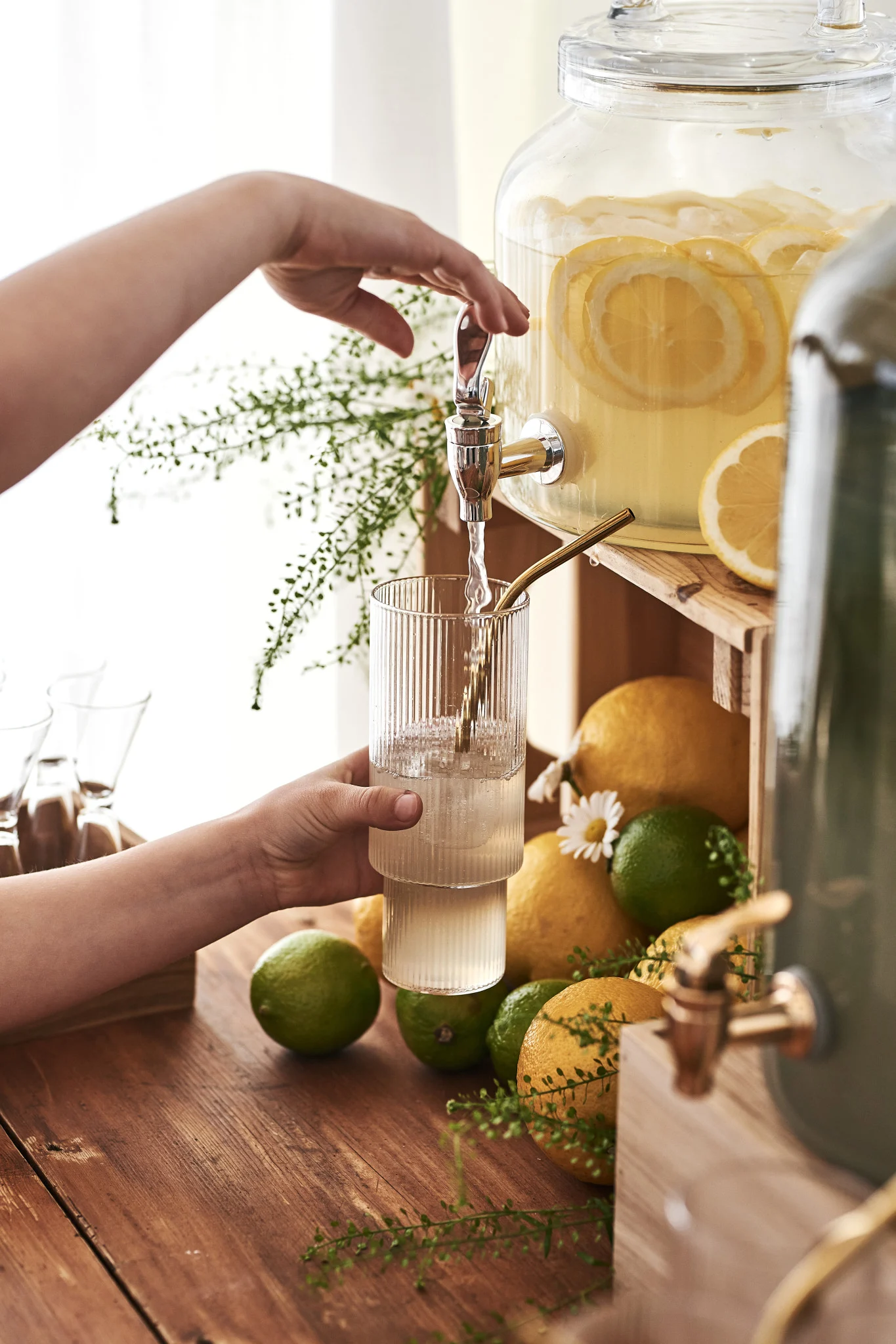 Kokeile yksinkertaista cocktail-reseptiä, joka on valmistettu inkivääristä ja mintusta. Kuvassa näkyy käsi, joka kaataa limonadia kannusta, jota ympäröivät sitruunat ja limetit.